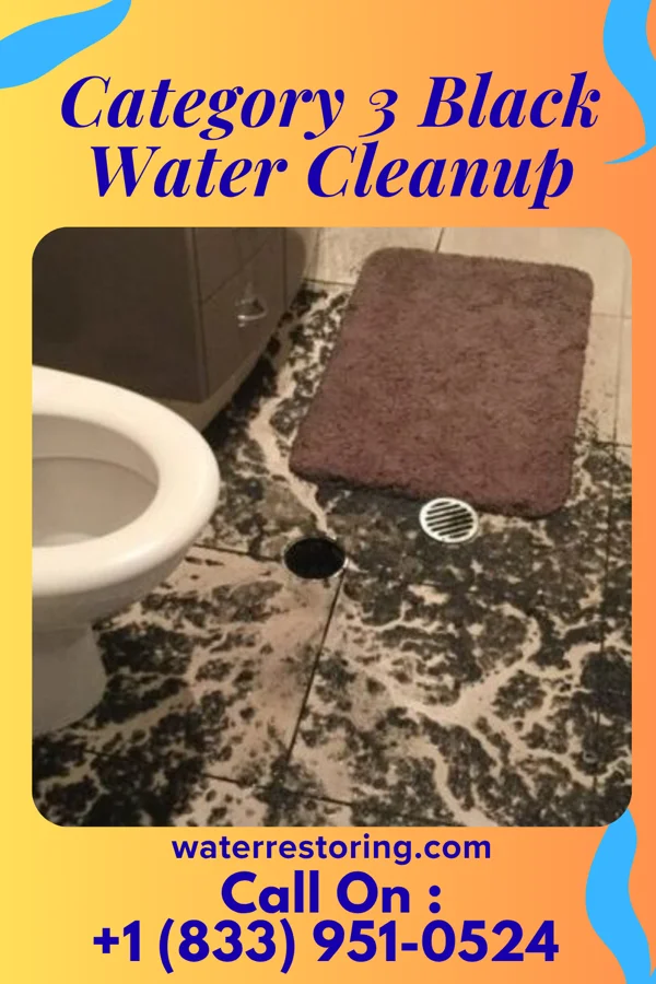 Category 3 Black Water Cleanup in Samson, AL